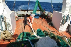 Τέλος οι μηχανότρατες στα εθνικά θαλάσσια πάρκα