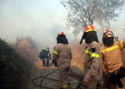 Με Προεδρικό Διάταγμα μονιμοποιούνται 423 Πυροσβέστες Πενταετούς Υποχρέωσης