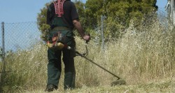 Το 40% των δήμων δεν έχει δηλώσει τον καθαρισμό των οικοπέδων