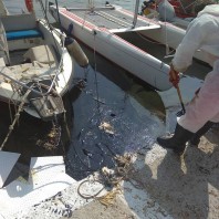 Νεκρός ναυτικός του δρομολογίου Πέραμα - Παλούκια Σαλαμίνας