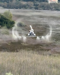 Περιφέρεια Αττικής: Ένταση του Προγράμματος κατά της αύξησης των κουνουπιών