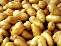2,4 τόνοι πατάτας αγνώστου προελεύσεως δεσμεύτηκαν στον Πειραιά