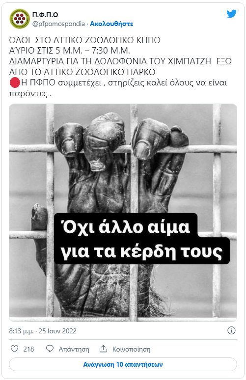 filozwikh - Αττικό Πάρκο: «Ήταν αδύνατο να γίνει νάρκωση του χιμπατζή, δεν θέλαμε να ρισκάρουμε ανθρώπινη ζωή» - Συγκέντρωση διαμαρτυρίας από Φιλοζωική